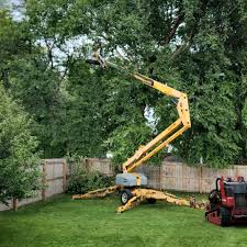 Seasonal Cleanup (Spring/Fall) in Navarre, OH